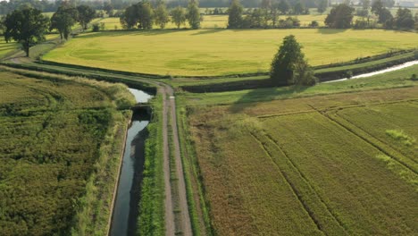 awesome drone view of rice fields north of italy,lombardy