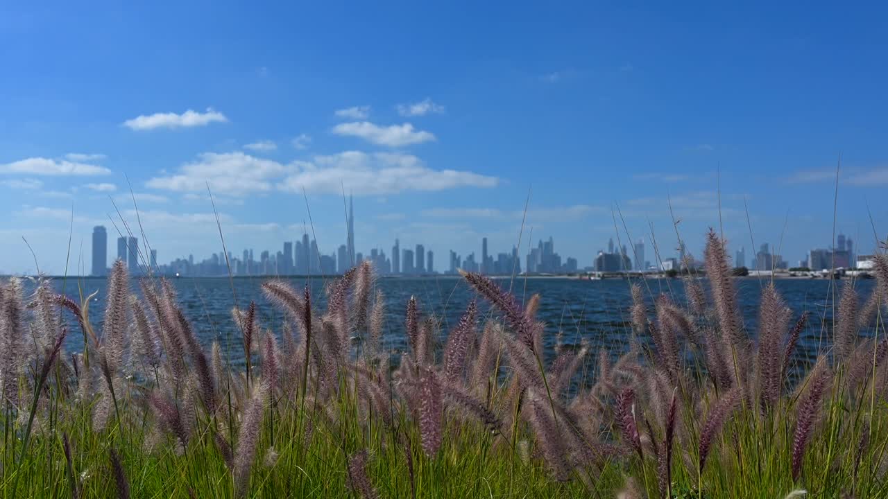 imágenes de 4k: horizonte de dubai desde el puerto de creek en un hermoso día soleado en los emiratos árabes unidos