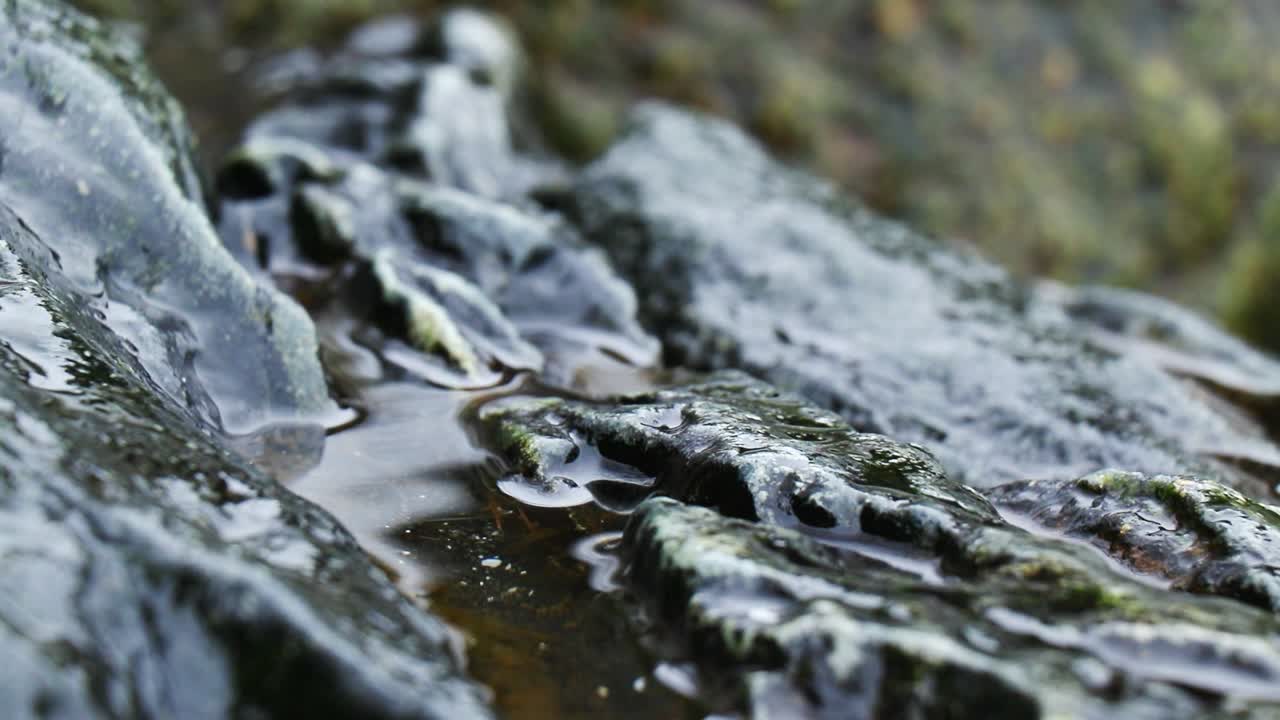 Vídeo Premium - Macro de rocas erosionadas llenas de agua, lluvia cayendo