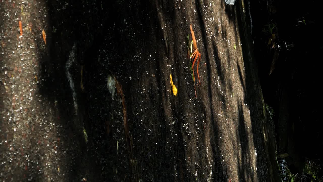인도네시아 발리에서 자동차가 운전하는 동안 물이 흐르는 도로의 느린 움직임  ⁇ 드헬드  ⁇