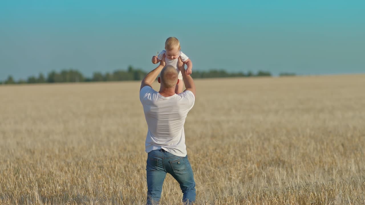 il giovane padre tiene in braccio una bambina e la circonda, guarda il bambino con affetto. il padre sta giocando con un bambino piccolo in un campo di grano, camminando. paternità e infanzia felici. 4k, prores