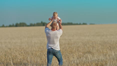 padre joven sostiene a una hija pequeña en sus brazos y la rodea, mira al bebé con afecto. papá está jugando con un niño pequeño en un campo de trigo, caminando. paternidad y infancia felices. 4k, prores