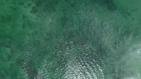 rising top down aerial as lone surfer paddles out in beautiful blue water, 4k