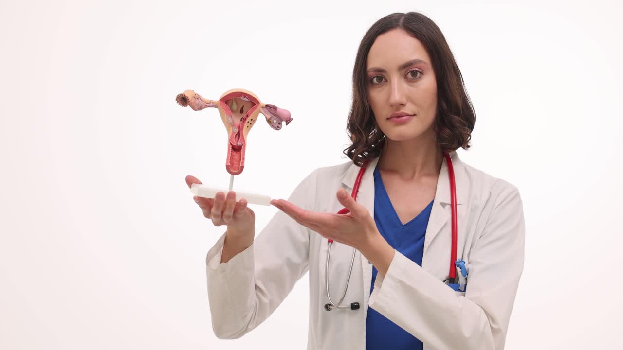 Female Doctor Holding Female Reproductive System Anatomy Model
