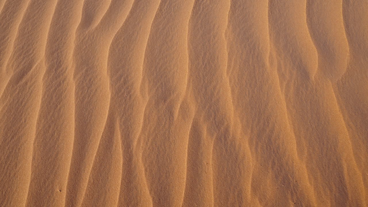 따뜻한 빛 아래 복잡한 파도 패턴을 가진 황금색 모래 언덕