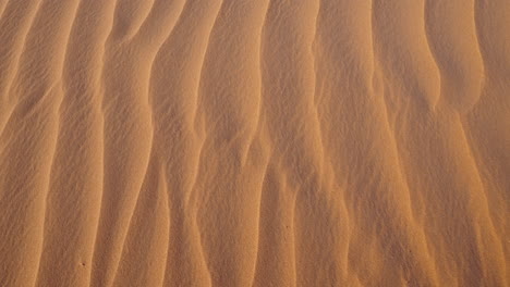 golden sand dunes with intricate wave patterns under warm sunlight