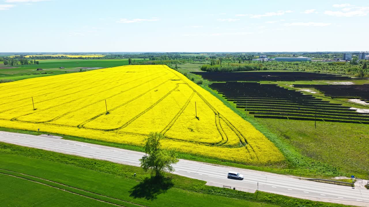 Vibrant yellow rapeseed fields beside solar panel arrays and a road with vehicles