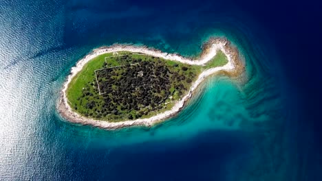 top aerial view of small desert fish shaped island gaz in brijuni islands, istria, croatia.