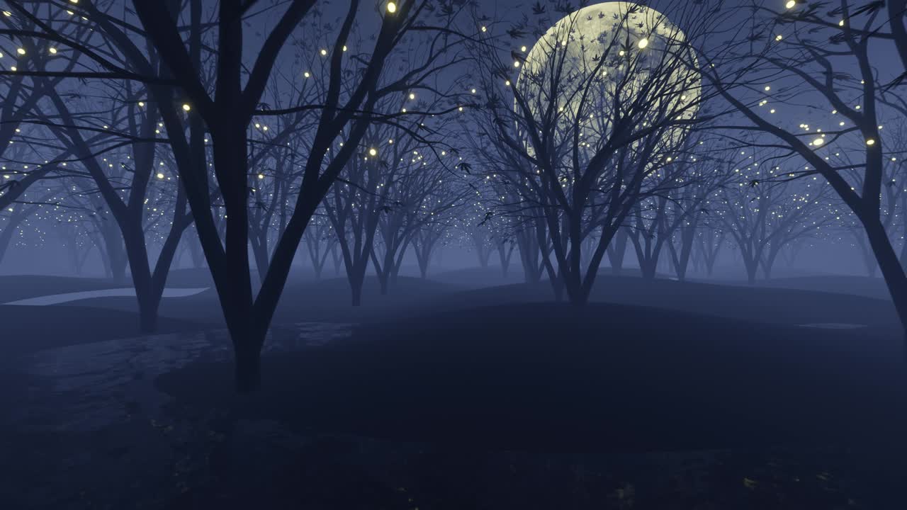 Movimento in avanti in loop. Camminando nella foresta di notte, ci sono pozzanghere e nebbia.