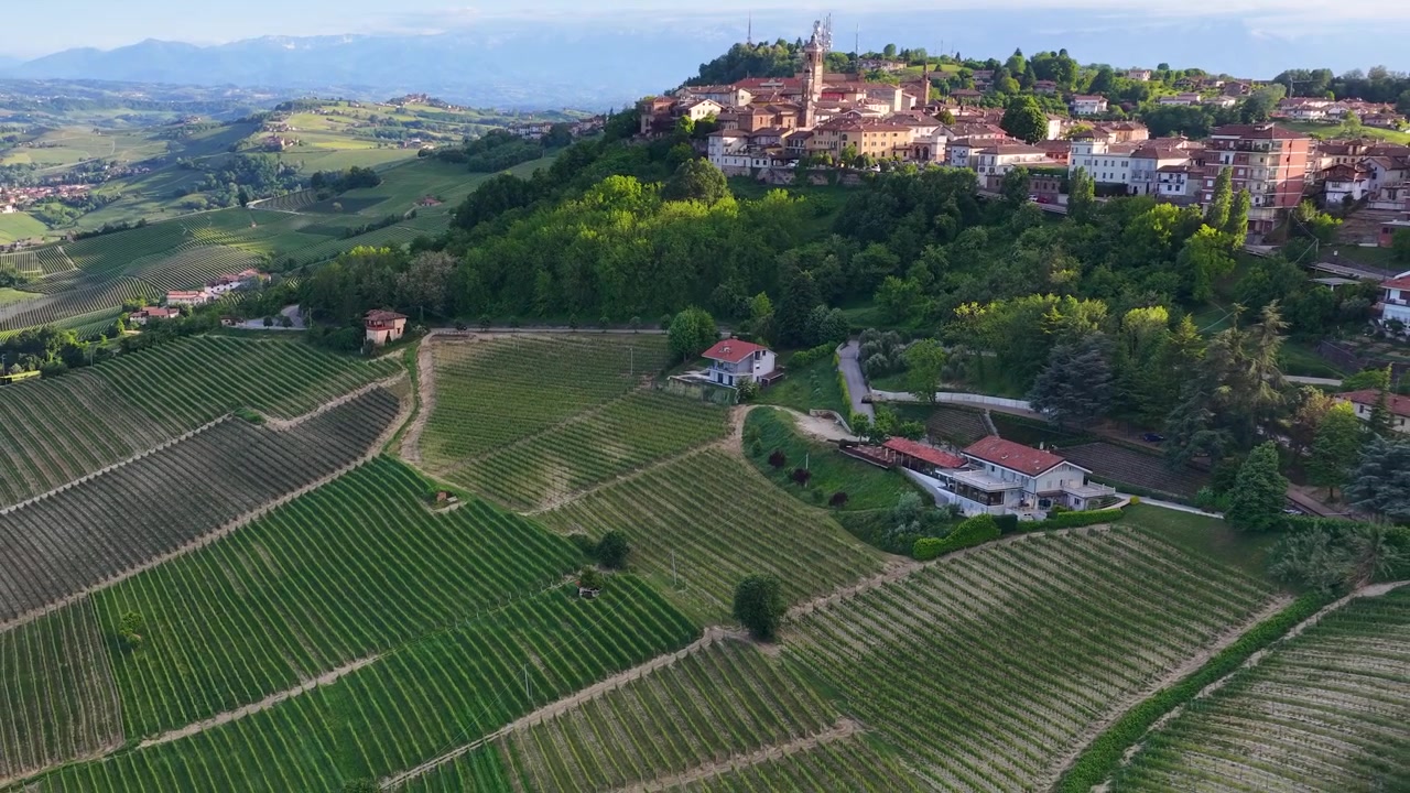 Un drone si allontana sopra rigogliosi vigneti verdi verso un borgo italiano storico in cima a una collina