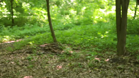 two sportswomen running through the woods