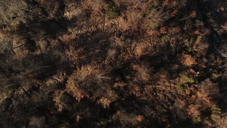 Aéreo:-Rodaje-Cenital-Cinematográfico-Giratorio-En-El-Bosque-De-Los-Apeninos