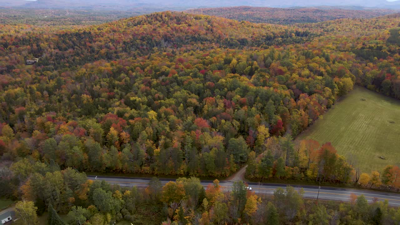 concepto de otoño - hermosos colores de otoño de los árboles de nueva inglaterra en el bosque - vista aérea estática de drones