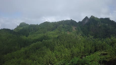ภาพถ่ายทางอากาศที่หนาแน่นของป่าและเนินเขา