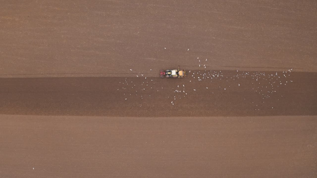 농경지에서 트랙터를 따라가는 바다표범의 잠금