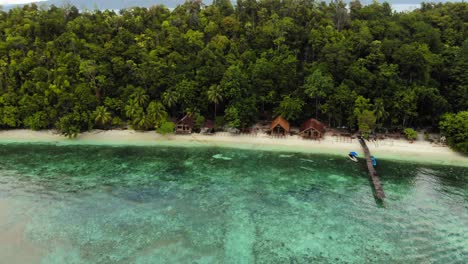 aerial view of a tropical island beach with bungalows, clear water, and a pier