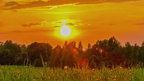 landscape view of lush green field bounded with trees under colorful sunset sky