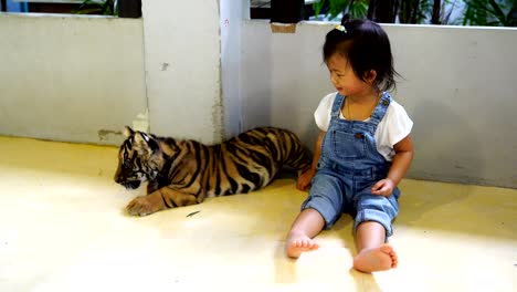 asian cute baby girl enjoying with baby tiger.