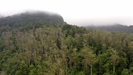 Heavy-fog-lying-on-dense-mountain-forest-in-Azores,-flyover-view