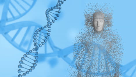 moving 3d dna strand and human body