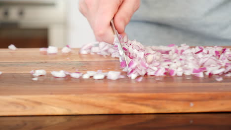 Gehackte-Dynamische-Gleitpfanne-Mit-Roten-Zwiebeln