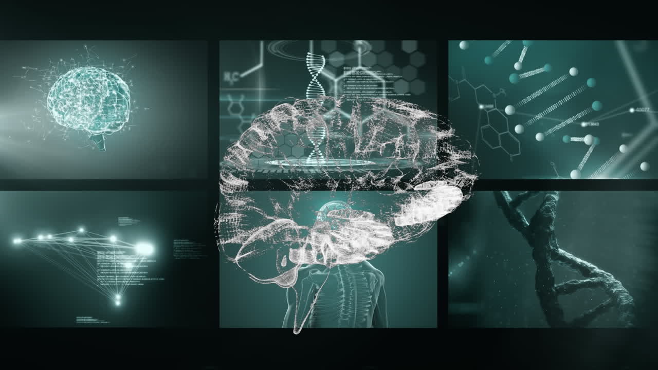 Animation of brain spinning over data processing