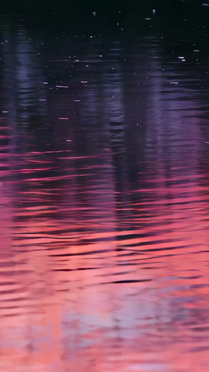 Vertical video: Moving lake water making ripples as light shifting at dusk showing pink-purple glow
