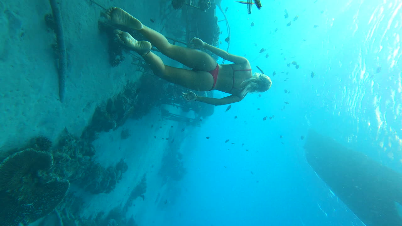 Beautiful female diver swimming underwater near rusty metal cage covered with corals, Gili Islands