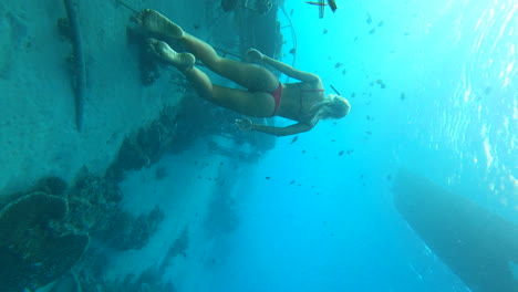 beautiful female diver swimming underwater near rusty metal cage covered with corals, gili islands