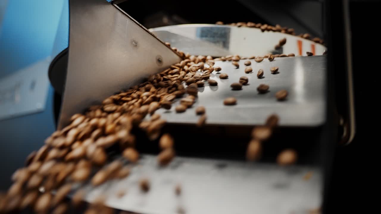 Coffee Beans Moving Through a Processing Machine