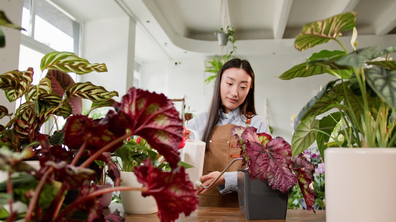 식물 가게 에서 식물 에 물 을 주고 있는 여자