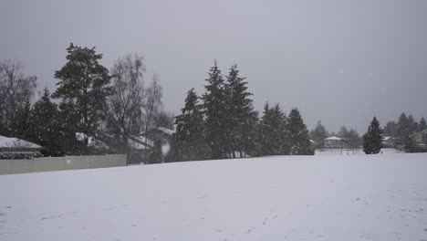 slow-motion footage of a soccer field during a light snowfall in canada