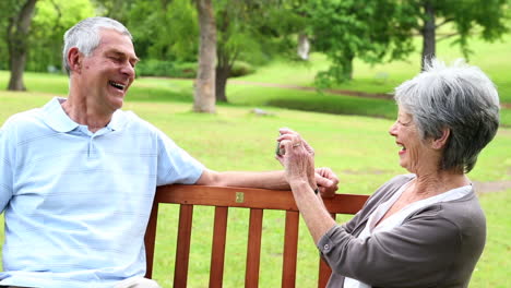 retired couple sitting on a park bench taking a picture