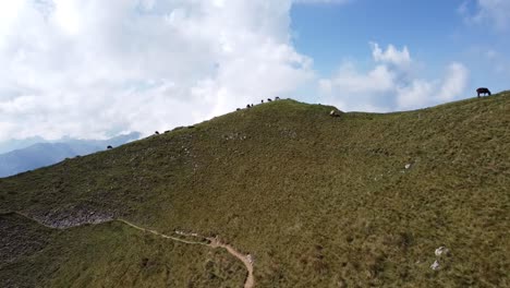 Un-Rebaño-De-Ovejas-En-El-Horizonte-En-Un-Prado-Verde-En-Los-Alpes-Suizos