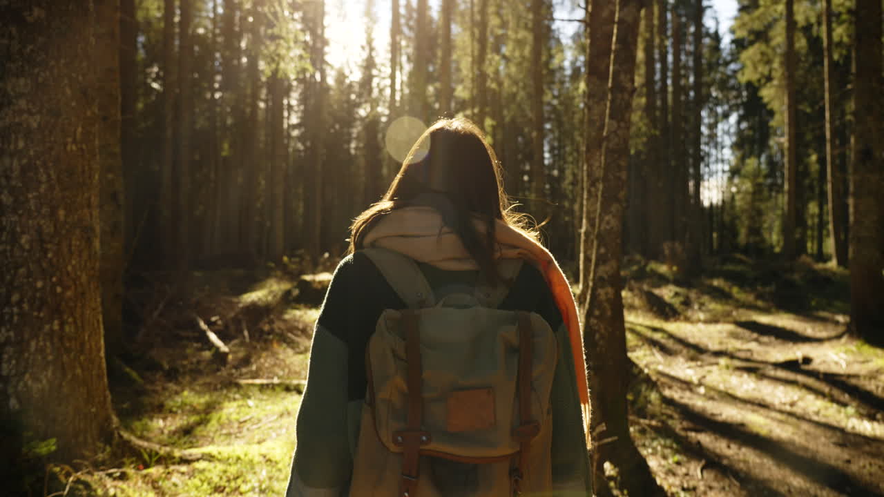 Woman Hiking in a Sunny Forest