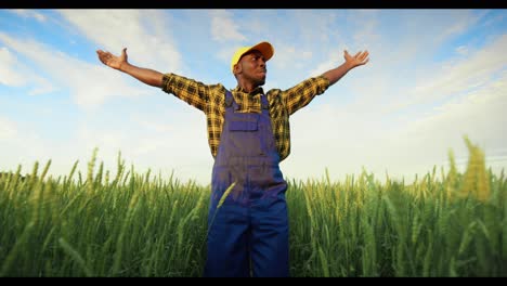 happy farmer in a wheat field