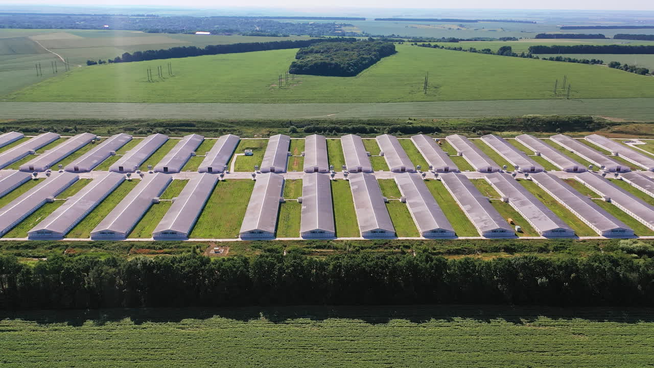 A number of big stables on the modern farming plant. Modern farming area in the farmlands. Aerial view. Vast agricultural fields at the backdrop.