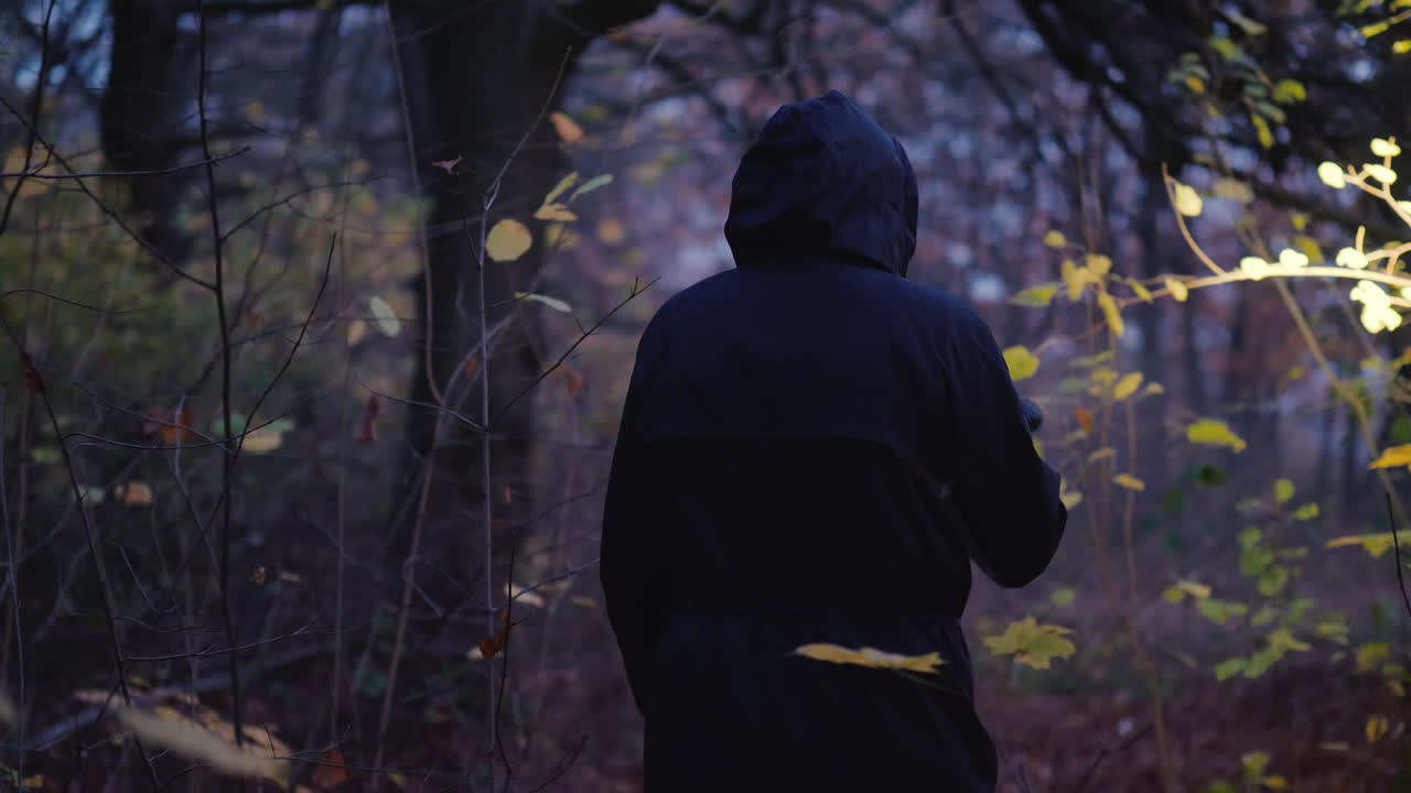 손에 손전등을 들고 후드를 쓴 남자가 남자를 찾아 어두운 숲을 걷는다