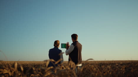 agricultores que utilizan computadoras para la comunicación en línea con sus socios en el campo de trigo
