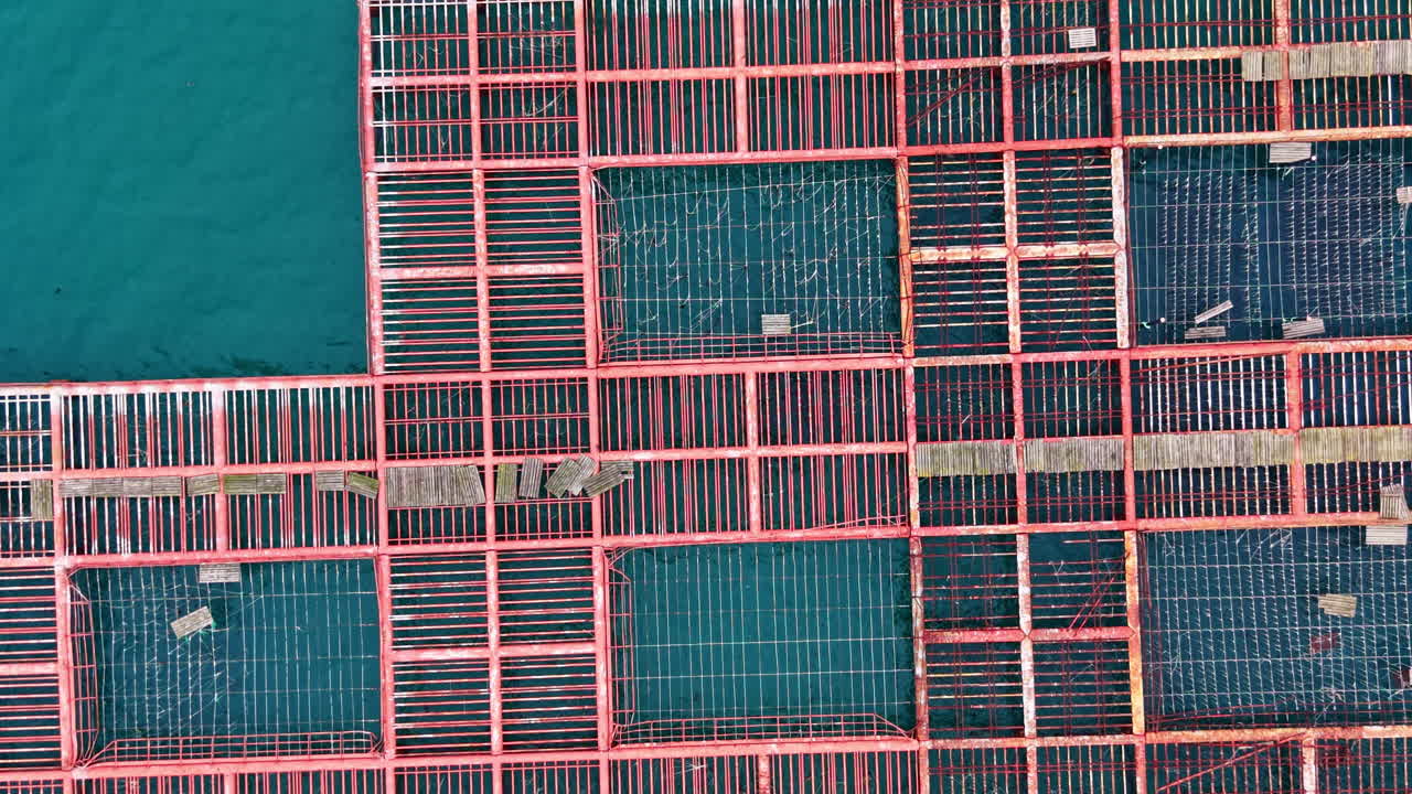 Mussel farm in the sea showing cages and structures used for shellfish farming during daylight hours