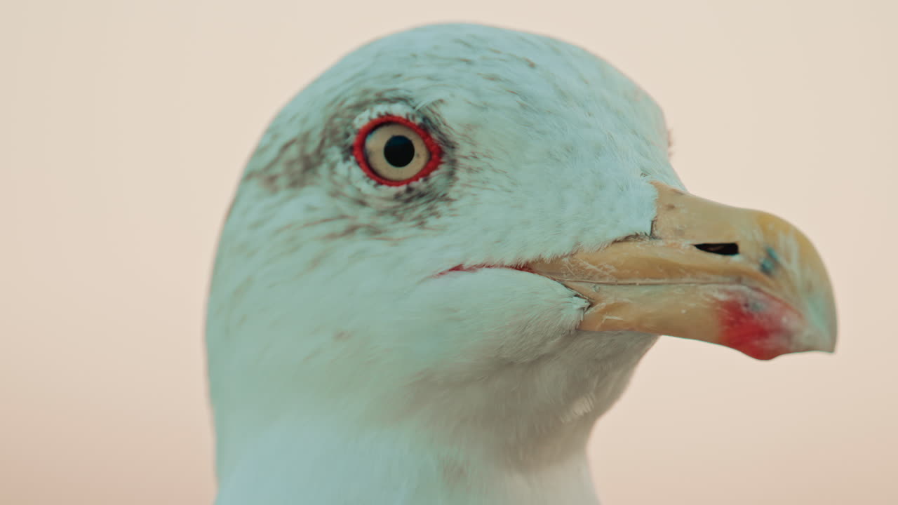 Abstract reflection of colorful boat hulls rippling across the surface of the water, creating a painterly effect