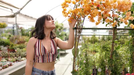 woman smelling orange bougainvillea flowers in greenhouse