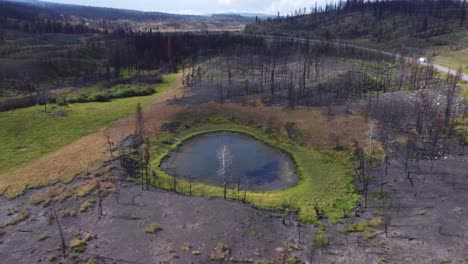 footage of a pond next to burnt trees near nicola valley in british columbia, canada