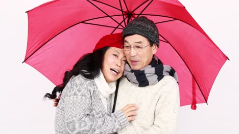 우산  ⁇ 에 있는 성숙한 아시아 커플