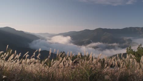 timelapse of sunrise over the iya valley in shikoku, japan