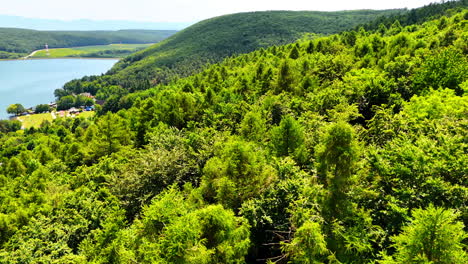 flight over the verdant slope of the mountain. wooded rocky area from drone footage. lake at the foot of the mountains at backdrop.