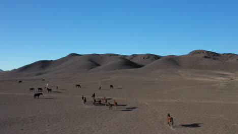 rotating cinematic drone shot of a team of horses going through the charyn canyon, kazakhstan