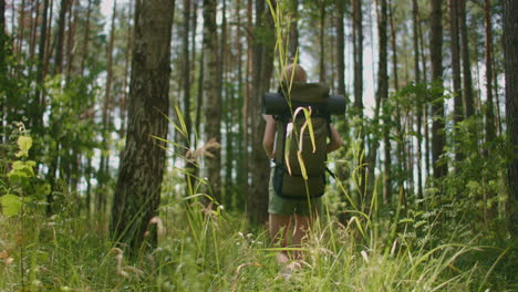 a view from the back of a woman walks along a forest road with a backpack through a pine forest through grass