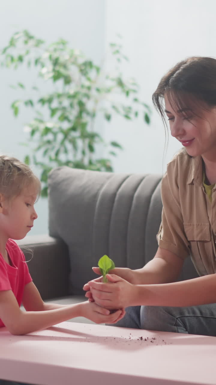 Happy woman gives green seedling to little daughter at table in living room slow motion. Mother with girl take care of young plant. Gardening hobby