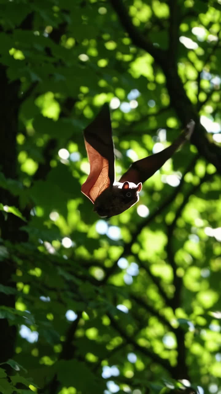 Bat Flying Through Green Forest